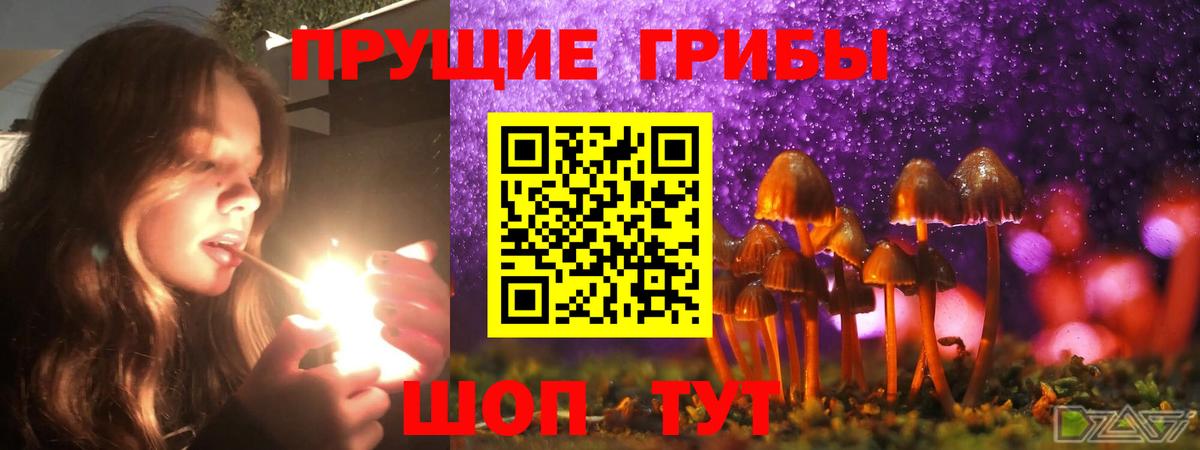 Галлюциногенные грибы Cubensis  Галлюциногенные грибы Cubensis  Вход с VPN  Курчатов 